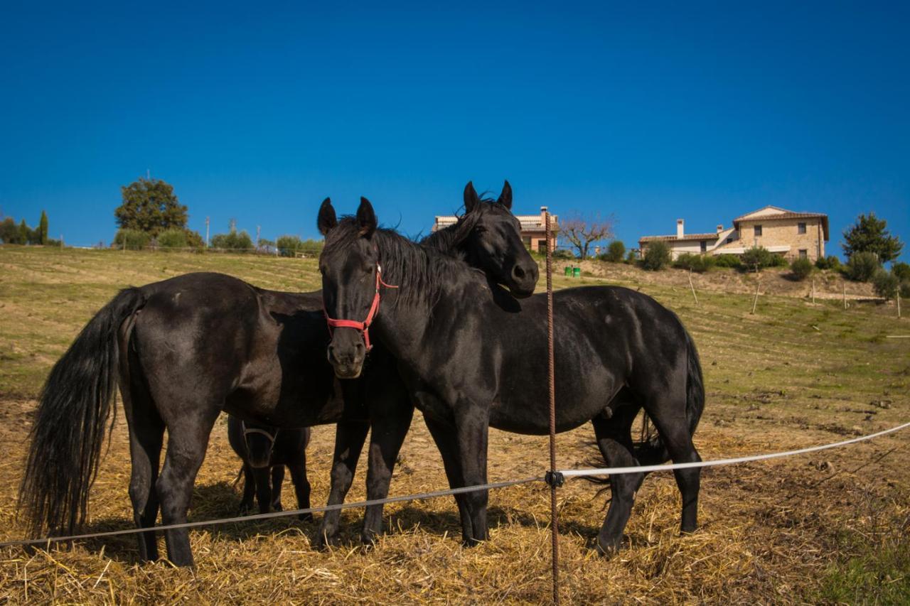 Agriturismo San Silvestro Villa Marsciano Buitenkant foto