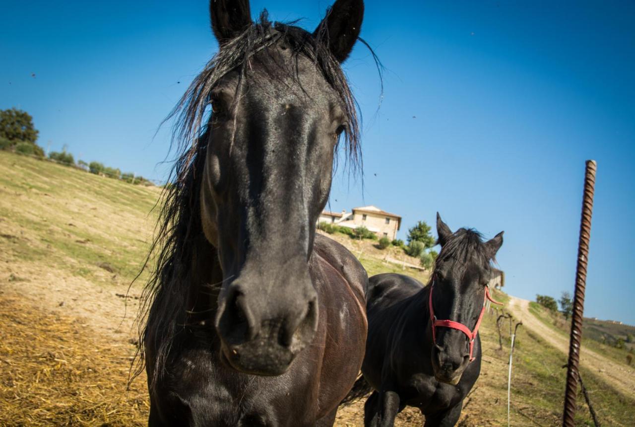 Agriturismo San Silvestro Villa Marsciano Buitenkant foto